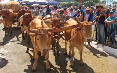 CARREIRÓDROMO DE TRINDADE